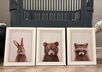Dierenposter in Lijst (3x) - Babykamer Decoratie beschikbaar voor biedingen