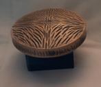Kunstof Voordeur knop, Ophalen of Verzenden, Zo goed als nieuw