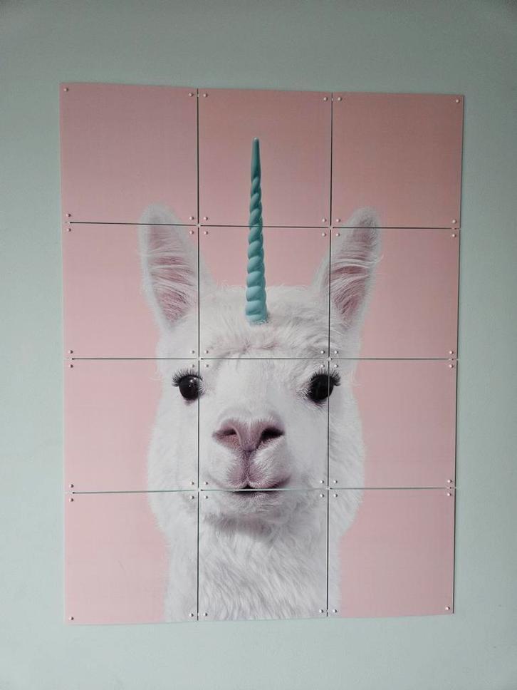IXXI Alpaca unicorn 60x80cm, Huis en Inrichting, Woonaccessoires | Schilderijen, Tekeningen en Foto's, Zo goed als nieuw, Overige typen