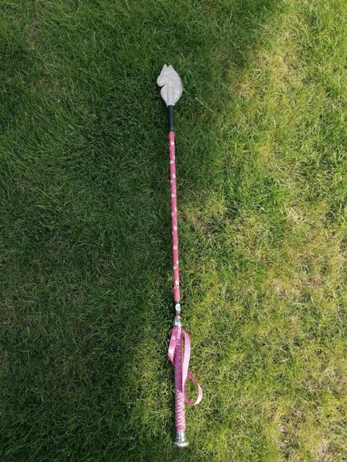Korte paardrijzweep roze 66 cm., Dieren en Toebehoren, Paarden en Pony's | Overige Paardenspullen, Gebruikt, Dressuur, Ophalen of Verzenden