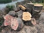 Wilgenhout stammen te koop, Tuin en Terras, Haardhout, Minder dan 3 m³, Ophalen, Overige houtsoorten, Stammen
