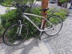 MTB Specialized crosstrail, Gebruikt, Hardtail, Heren, 45 tot 49 cm