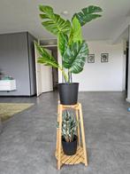IKEA plant stand + 2 artificial plants, Ophalen, In pot, Halfschaduw, Minder dan 100 cm