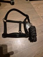 Halster QHP, Ophalen of Verzenden, Nieuw, Overige soorten