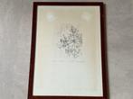 Decente gravure van naakte dame tussen bloesemtakken E.A., Antiek en Kunst, Kunst | Etsen en Gravures, Verzenden