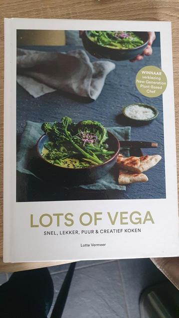 Lots of Vega - Lotte Vermeer - Nieuw beschikbaar voor biedingen