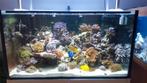 Compleet aquarium +- 600L, Dieren en Toebehoren, Vissen | Aquaria en Toebehoren, Ophalen, Leeg aquarium