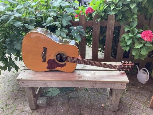 Richwood D-65-VA, Muziek en Instrumenten, Snaarinstrumenten | Gitaren | Akoestisch, Gebruikt, Western- of Steelstringgitaar, Ophalen