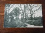K29 - Wolfheze - Wodans Eiken - 1920, Verzamelen, Ophalen of Verzenden, Voor 1920