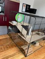 Hamsterkooi, Dieren en Toebehoren, Ophalen, Minder dan 75 cm, Kooi, Minder dan 60 cm