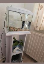 Aquarium met aquarium tafel, Ophalen, Zo goed als nieuw, Leeg aquarium