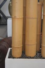 bloembak bloempot clayfibre wit met bamboe afscheiding, Tuin en Terras, Bloembakken en Plantenbakken, Ophalen, Gebruikt, Binnen