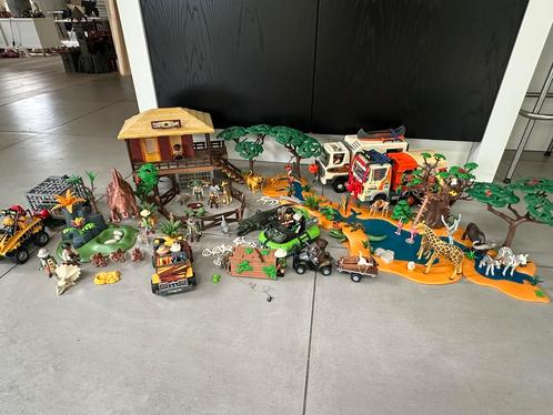 Playmobil Safari & Dino collectie (14 sets), Kinderen en Baby's, Speelgoed | Bouwstenen, Zo goed als nieuw, Overige merken, Ophalen of Verzenden