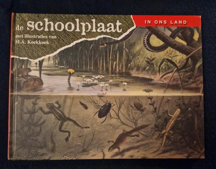 Vintage Schoolplaat - M.A. Koekkoek, Boeken, Kinderboeken | Jeugd | onder 10 jaar, Zo goed als nieuw, Non-fictie, Ophalen of Verzenden