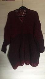 Leuke gehaakte vest, Overige kleuren, Maat 46/48 (XL) of groter, Nieuw, Ophalen of Verzenden