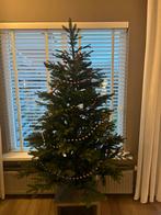 Black Box Frasier Green 155x109, Ophalen of Verzenden, Zo goed als nieuw