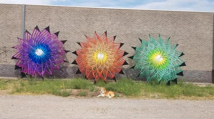 Grote Ster Vlieger - Set of Los, Hobby en Vrije tijd, Overige Hobby en Vrije tijd, Ophalen