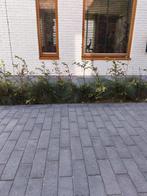 3m² Kijlstra longstone antraciet / zwart opritsteen, Tuin en Terras, Tegels en Klinkers, Ophalen, Nieuw, Beton, 10 m² of meer