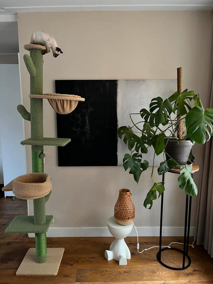 *NEW* krabpaal cactus, Dieren en Toebehoren, Krabmeubelen, Nieuw, Krabpaal, Ophalen of Verzenden