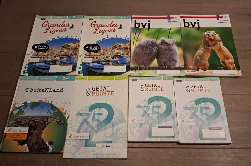 Schoolboeken VWO 2 - Diverse vakken, Boeken, Overige vakken, VWO, Diverse auteurs, Ophalen of Verzenden