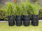Olievaten met siergras, Tuin en Terras, Bloembakken en Plantenbakken, Ophalen, Minder dan 60 cm, Rond, Zo goed als nieuw