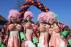 loopgroep carnaval pakken met humor, Ophalen, Carnaval, Maat 46/48 (XL) of groter, Onbekend