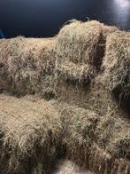 Kleine baaltjes hooi, Dieren en Toebehoren, Ophalen, Overige soorten