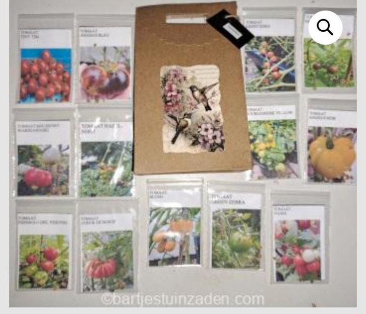 Zadenpakket groot tomaten, Tuin en Terras, Bloembollen en Zaden, Volle zon, Verzenden