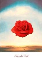 SALVADOR DALI Meditative Rose. Kunstreproduktie achter glas, Ophalen