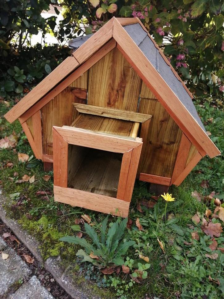 Egelvoederhuis, Dieren en Toebehoren, Overige Dieren-accessoires, Nieuw, Ophalen of Verzenden