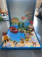 Playmobil 4332 micro wereld ark van Noach, Ophalen