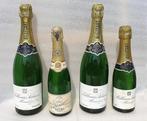 Vier lege, nep en verzegelde 🍾🍾🍾🍾 champagneflessen, Ophalen of Verzenden, Zo goed als nieuw, Frankrijk, Overige typen