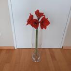 Grote vaas, glas, Huis en Inrichting, Woonaccessoires | Vazen, Overige kleuren, 50 tot 75 cm, Ophalen of Verzenden, Glas