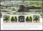 Postzegels Bedreigde zoogdieren: Bonobo, Postzegels en Munten, Ophalen of Verzenden, Na 1940, Postfris