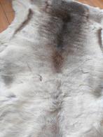 Rendiervacht, Ophalen of Verzenden, Zo goed als nieuw