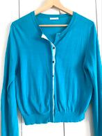 Just in Case vest vestje turquoise aqua blauw L M, Kleding | Dames, Blauw, Maat 42/44 (L), Ophalen of Verzenden, Zo goed als nieuw