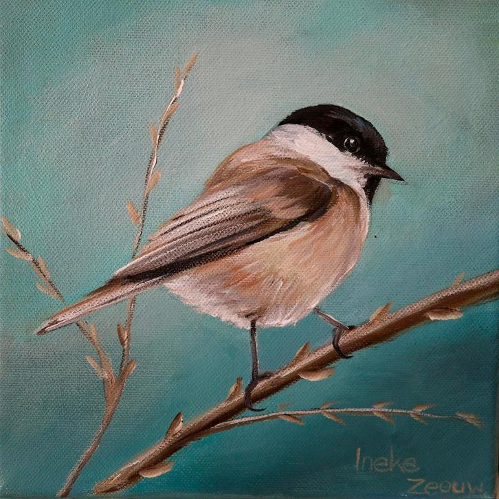 Schilderij zwartkopmees, Huis en Inrichting, Woonaccessoires | Schilderijen, Tekeningen en Foto's, Nieuw, Schilderij, Minder dan 50 cm