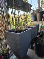 Planten/ ploemenbakken, Kunststof, Minder dan 60 cm, Rond, Ophalen of Verzenden