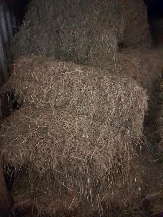 Hooi te koop., Dieren en Toebehoren, Dierenvoeding, Vee, Ophalen of Verzenden