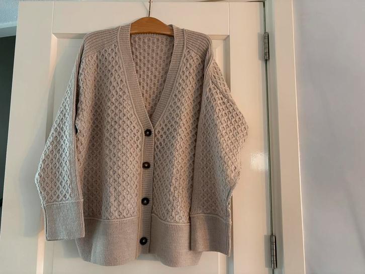 Mooi stijlvol nieuw gebreid vest HEMA, Kleding | Dames, Truien en Vesten, Nieuw, Beige, Ophalen of Verzenden