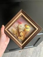 Vintage brocante antieke schilderij vlinder gedroogde bloem, Ophalen of Verzenden