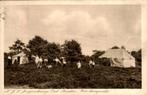 Jongenskamp bij Oud-Leusden, tenten op kampveld, Verzamelen, Ophalen of Verzenden, 1920 tot 1940, Gelopen, Utrecht