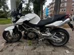 Motor aprilia, Motoren, Motoren | Aprilia, Particulier