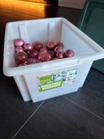 Roze kerstballen met opbergbox, Diversen, Kerst, Ophalen, Zo goed als nieuw