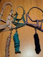 Halster+touw pakket, Ophalen of Verzenden, Gebruikt, Recreatie