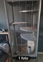 Hoge rattenkooi voor knaagdieren etc, Ophalen, Hamster, 90 cm of meer