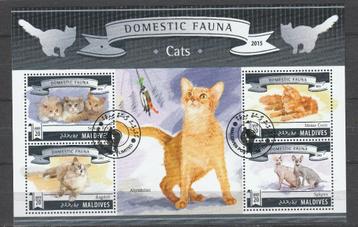 KATTEN-POEZEN=Mooi bl. v4st MALDIVES-1806 beschikbaar voor biedingen