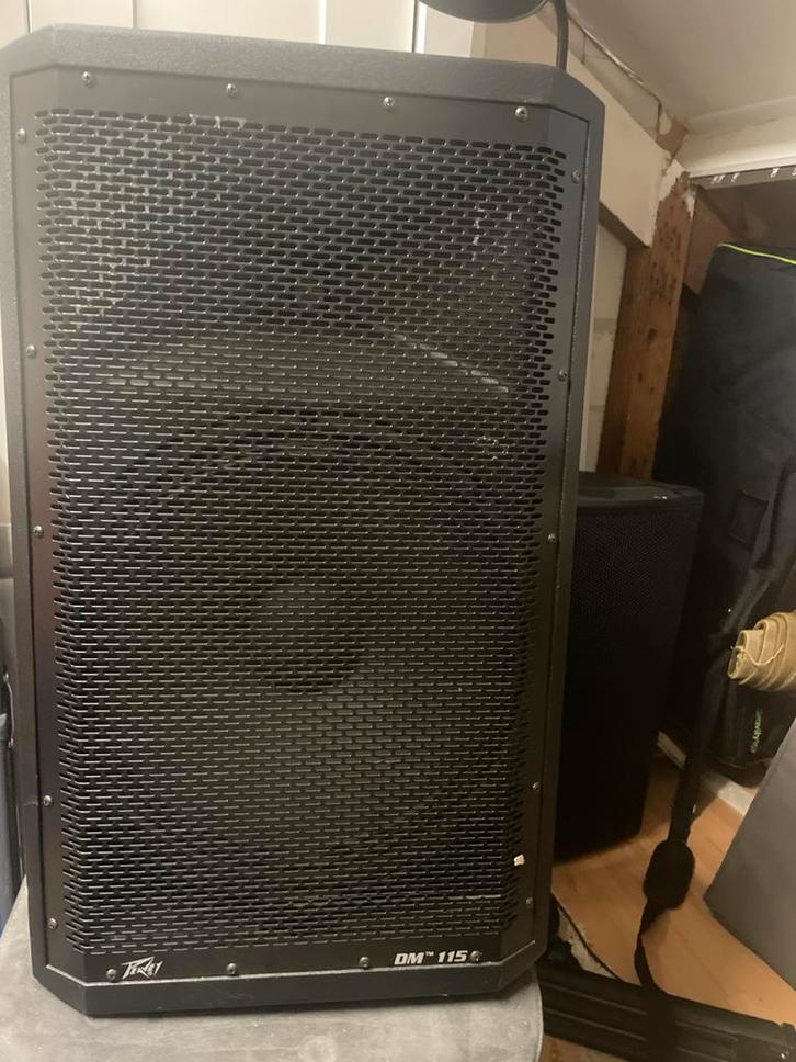 Peavey DM115 Speaker - Topconditie! ZGAN, Audio, Tv en Foto, Luidsprekers, Zo goed als nieuw, Overige merken, Ophalen