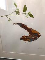 Litho van Peter ?, Ophalen of Verzenden