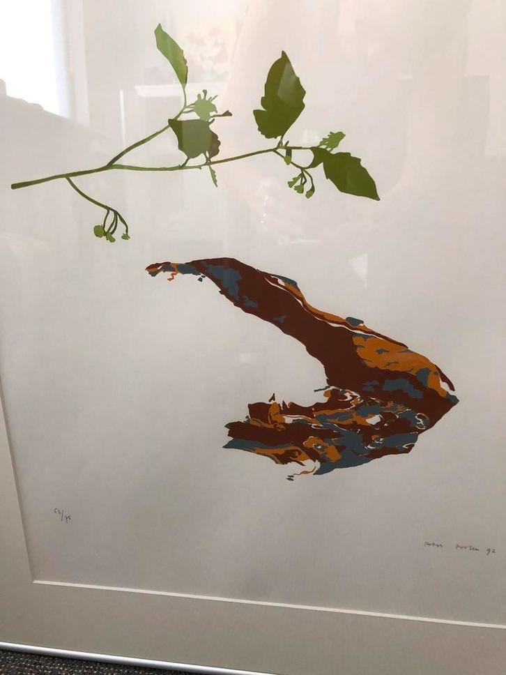 Litho van Peter ?, Antiek en Kunst, Kunst | Litho's en Zeefdrukken, Ophalen of Verzenden